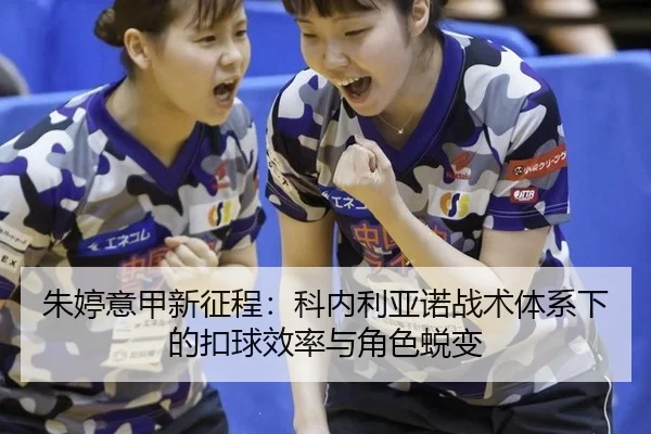 zhu-ting-yi-jia-xin-zheng-cheng-ke-nei-li-ya-nuo-zhan-shu-ti-xi-xia-de-kou-qiu-xiao-lv-yu-jue-se-tui-bian-2-929.jpg
