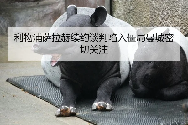 利物浦萨拉赫续约谈判陷入僵局曼城密切关注